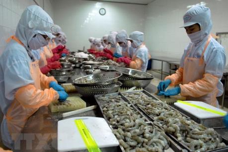 Gỡ khó cho doanh nghiệp xuất khẩu tôm vào thị trường Hoa Kỳ