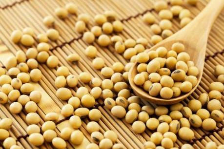 Giá đậu tương Mỹ sụt hơn 5% trong tuần qua