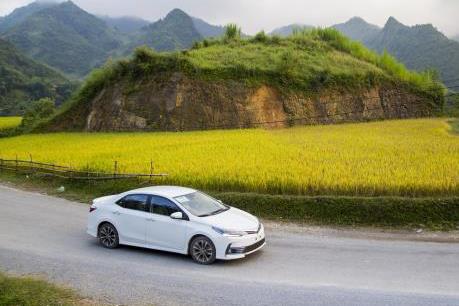 Sản xuất lắp ráp và tiêu thụ xe Toyota trong nước đều tăng mạnh