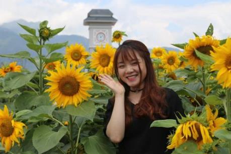 Tò mò với cuộc thi “Ai đẹp hơn hoa” tại Tuần lễ hoa hướng dương Fansipan 2018 