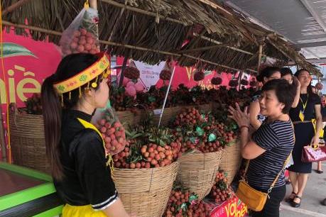 Khai mạc Tuần lễ vải thiều Lục Ngạn-Bắc Giang tại Hà Nội