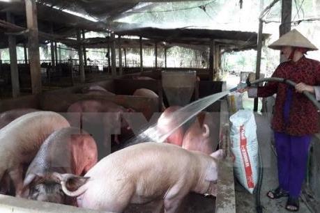 Bãi bỏ chính sách hỗ trợ trực tiếp cho người dân thuộc hộ nghèo ở vùng khó khăn