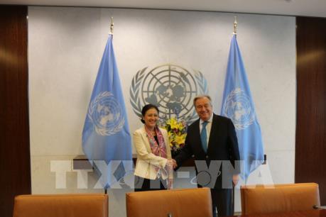 Tổng Thư ký Guterres đánh giá cao quan hệ hợp tác Việt Nam-Liên Hợp Quốc