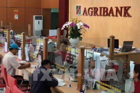 Agribank rút ngắn thời gian nộp thuế xuất nhập khẩu cho doanh nghiệp