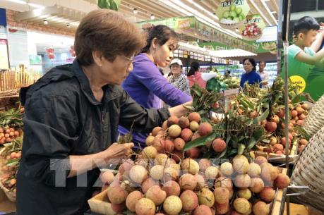 Saigon Co.op cam kết bao tiêu trái vải thiều tươi Lục Ngạn và Thanh Hà