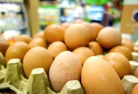 An toàn thực phẩm: Ba Lan thu hồi hàng triệu quả trứng gà chứa dư lượng kháng sinh