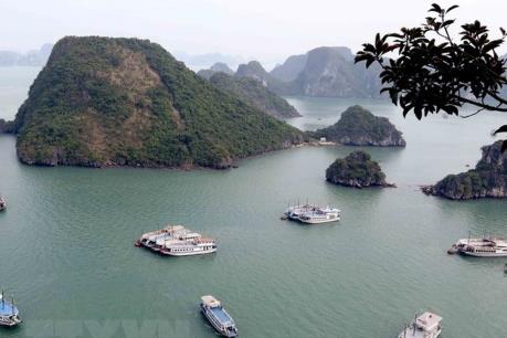 Hải Phòng thanh tra các phương tiện thủy chở khách du lịch