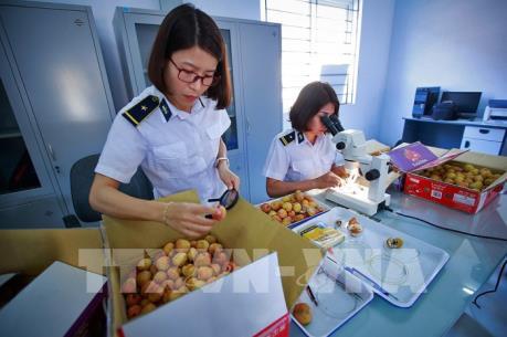 Kiểm dịch thực vật và an toàn thực phẩm: Áp lực thay đổi!
