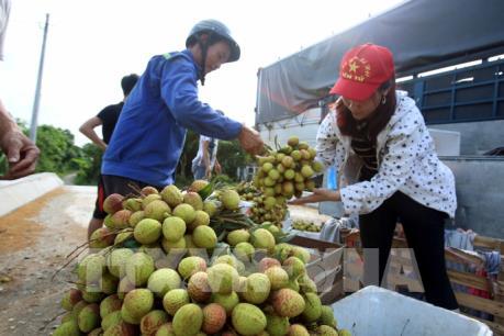 Đẩy mạnh tiêu thụ nông sản: "Lực đẩy" khơi thông thị trường