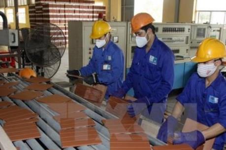 Các nhà đầu tư đặc biệt quan tâm đến lĩnh vực bất động sản của Viglacera