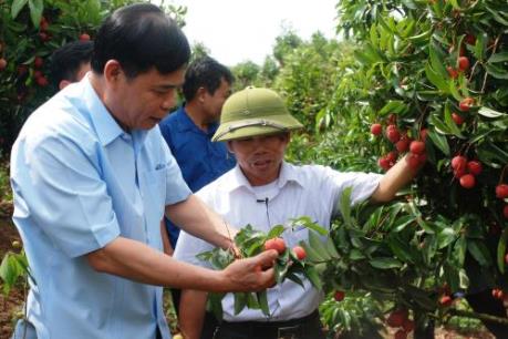 Bộ trưởng Nguyễn Xuân Cường: Lục Ngạn tiếp tục đẩy mạnh tiêu thụ vải