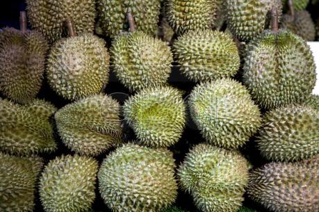 Nguy cơ "cuộc chiến trái cây" giữa Thái Lan - Indonesia