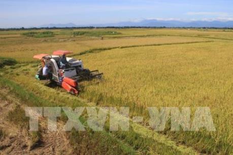 Thay đổi tư duy trong sản xuất nông nghiệp - Bài 1: Vì sao chậm?