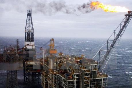 Xuất khẩu dầu của Mỹ sang Trung Quốc có thể gặp khó do các biện pháp trả đũa