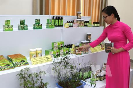 Xây dựng chuỗi cung ứng nông sản an toàn