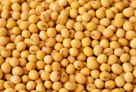 Chiến tranh thương mại Mỹ-Trung tác động mạnh tới giá đậu tương và các đồng tiền châu Á