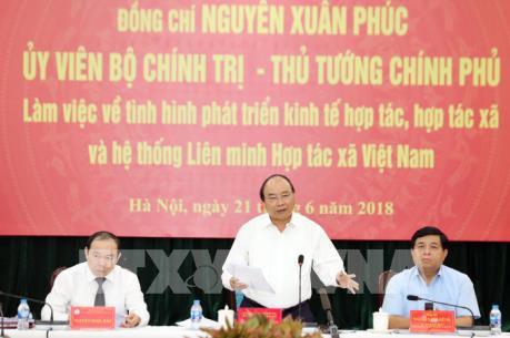 Kinh tế hợp tác, hợp tác xã là một bộ phận không thể thiếu trong nền kinh tế 