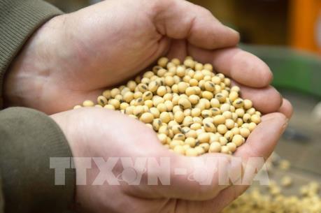 Các biện pháp trả đũa thương mại của EU với Mỹ đi vào hiệu lực