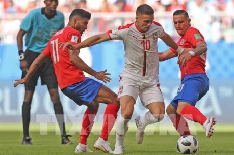 WORLD CUP 2018: Bảng E -  Serbia tràn đầy cơ hội đi tiếp