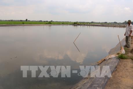 An Giang nâng cao chất lượng trong nuôi trồng thủy sản