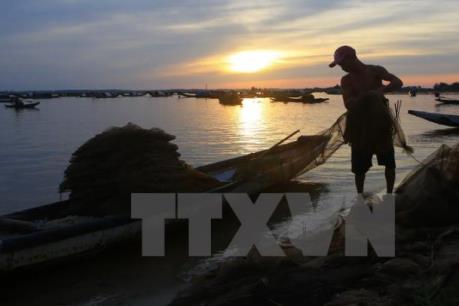 Cà Mau xử lý dứt điểm việc lấn chiếm trái phép tại Đầm Thị Tường