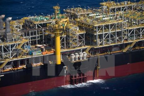 Ai Cập dự định ngừng hoàn toàn trợ giá nhiên liệu vào năm 2019