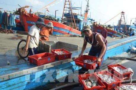 Cơ hội và thách thức của ngành khai thác hải sản - Bài 1: Bài học từ "thẻ vàng"