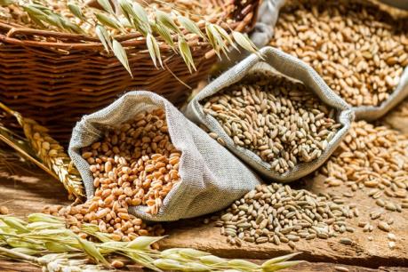 Giá các loại nông sản thế giới đồng loạt giảm trong tuần qua