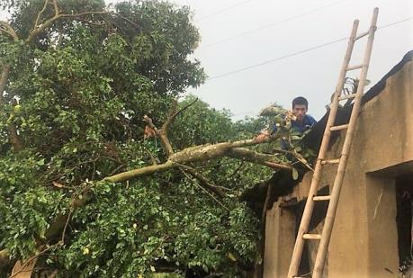 Cơ bản hoàn tất việc khắc phục hậu quả mưa kèm gió lốc tại Phú Lương, Thái Nguyên