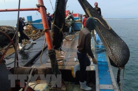 Bến Tre xử lý 4 tàu vi phạm trong lĩnh vực khai thác thủy sản