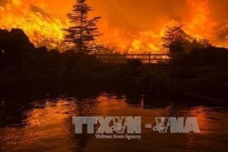California ban bố tình trạng khẩn cấp do cháy rừng dữ dội