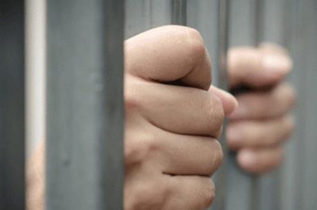 Phú Yên: Bắt tạm giam nguyên thủ quỹ Chi cục Kiểm lâm vì tham ô tài sản