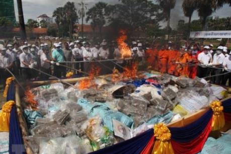  Các nước Đông Nam Á tổ chức thiêu hủy khối lượng lớn ma túy