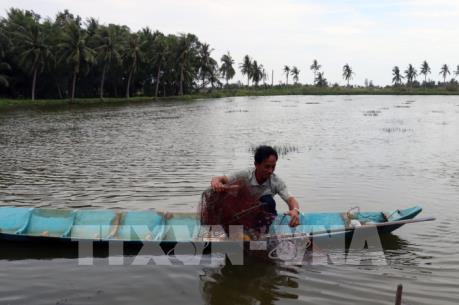 Lập Ban quản lý Khu nông nghiệp công nghệ cao phát triển tôm Bạc Liêu
