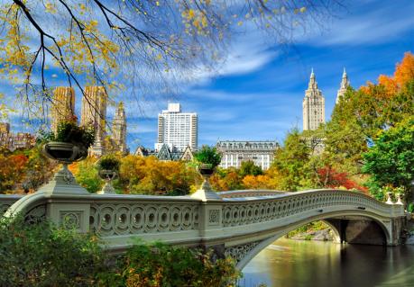 Công viên Trung tâm New York chính thức nói "Không" với ô tô