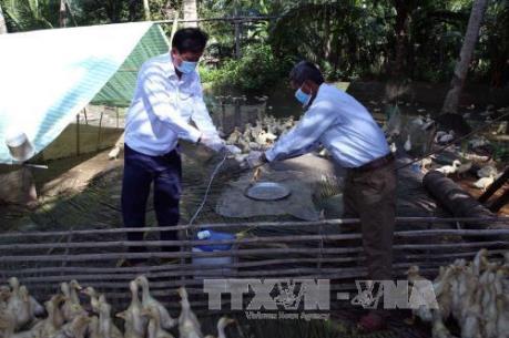 Chủ động phòng, chống dịch bệnh cho gia súc mùa mưa bão