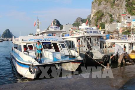 Quảng Ninh khảo sát mở đường bay thủy phi cơ từ Tuần Châu ra đảo Cô Tô