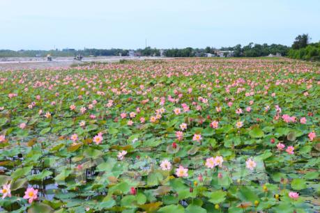 Lễ hội Sen - kích cầu du lịch Huế