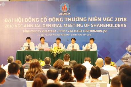 Viglacera thay đổi cơ bản về sở hữu vốn