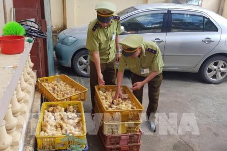 Lạng Sơn liên tiếp bắt giữ nhiều vụ buôn lậu