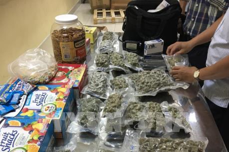 Hải quan Tân Sơn Nhất phá thành công nhiều vụ vận chuyển cần sa trái phép