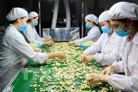 Nông thủy sản, thực phẩm và đồ uống Việt Nam chinh phục hội chợ lớn nhất Bắc Mỹ