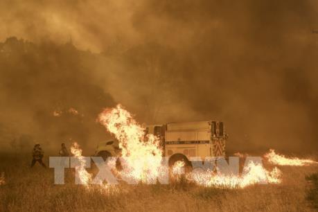 California sơ tán hàng chục nghìn người do cháy rừng lan rộng