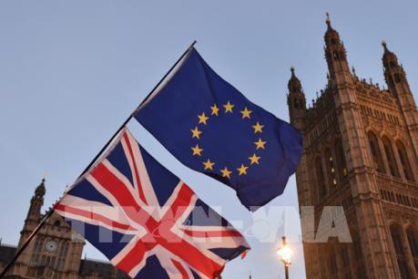 Vấn đề Brexit: Lựa chọn giữa “cứng” và “mềm” (Phần 2)
