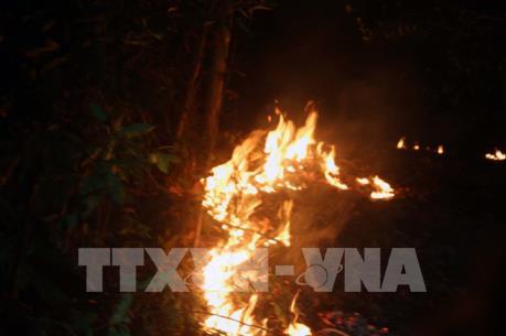 Rà soát kỹ các phương án phòng cháy, chữa cháy rừng