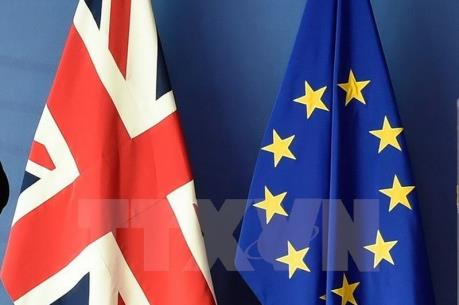 Nội các Anh sẽ thảo luận mô hình hải quan thứ ba sau Brexit vào ngày 6/7 tới