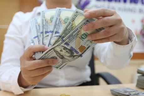 Ngân hàng Nhà nước sẵn sàng bán ngoại tệ can thiệp thị trường