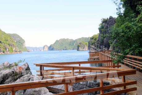 Quảng Ninh: Không có chuyện xẻ núi và bê tông hóa đảo Soi Sim trên vịnh Hạ Long