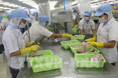 Xuất khẩu thủy sản tăng trưởng mạnh