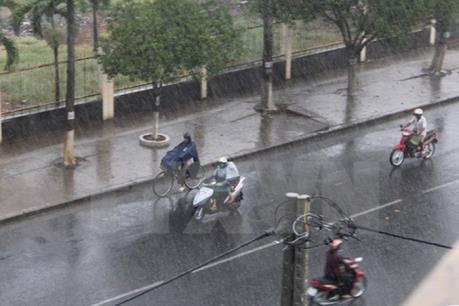 Dự báo thời tiết đêm nay 3/7: Nhiều khu vực trong cả nước có mưa và dông